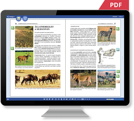 PDF vagy HTML