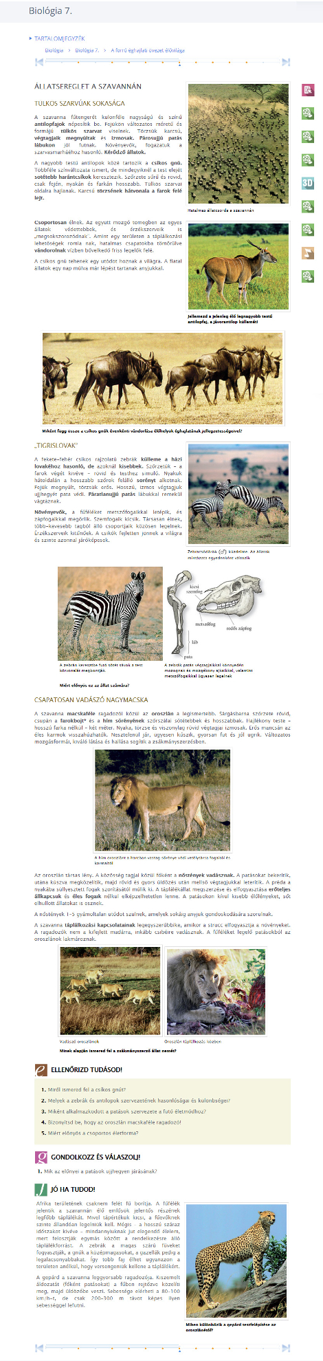 PDF vagy HTML