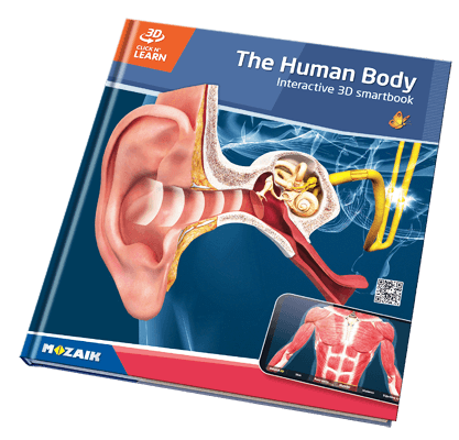 Серія з 20 книжок, що містять 800 3D-сцен