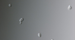 Грибок Кандіда (Candida albicans). Викликає запалення статевих органів