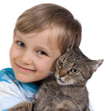 Обійми кішки