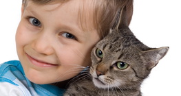 Обійми кішки