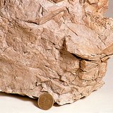 Dolomite