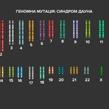 Геномна мутація - синдром Дауна
