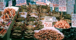 Морепродукти є важливим джерелом в харчуванні