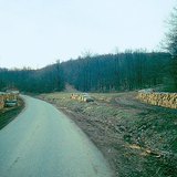 Складені колоди на узбіччі дороги