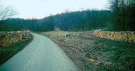 Складені колоди на узбіччі дороги