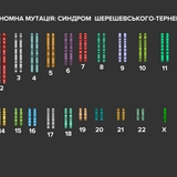 Геномна мутація - синдром Шерешевського-Тернера