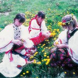 Дівчата грають зі звичайними кульбабами