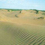 Бархани нанесені вітром