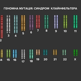 Геномна мутація - синдром Клайнфельтера