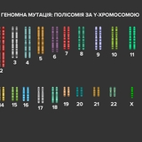 Геномна мутація - полісомія