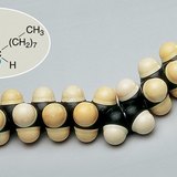 Куляста модель молекули олеїнової кислоти