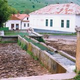 Гірське джерело