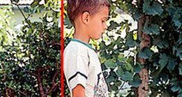 Правильна постава