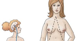 Гормональна регуляція ооцита чи яйцеклітини