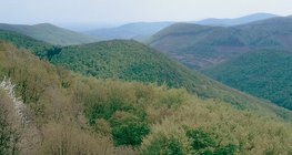 Центральні гори