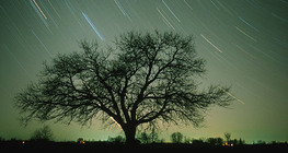 Зоряний слід в нічному небі