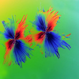 Зірчасті трихоми