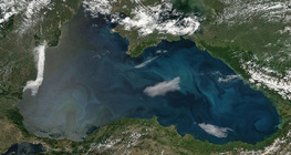 Супутникове зображення водорості (ліва сторона) в Чорному морі