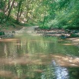 Куха потік в Баконі (Угорщина)