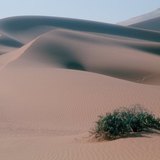 Піщані дюни в Сахарі