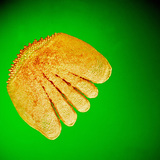 Луска (окунь)