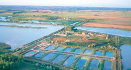 Рибні стави
