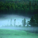 Туманний світанок