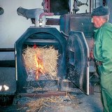 Спалення очерету