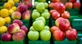 Різновиди яблук
