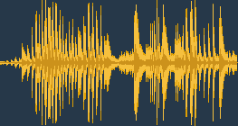 Орлан-білохвіст