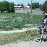 Напівпустеля в Туранській низовині
