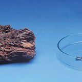 Дерево гниє повільно, але горить швидше