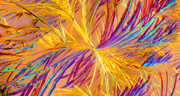 Кристали амінофіліну (ліки)