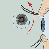 Використання туші для вій