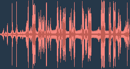 Дрізд чорний