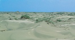 Помірний клімат пустелі в Китаї
