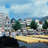 Сирний ринок в Алкмарі