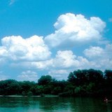 Купчасті хмари