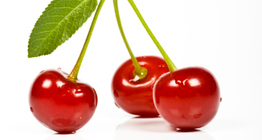 Вишня