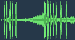 Бджолоїдка