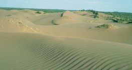 Піщані фігури в пустелі Атакама