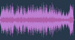 Фредерік Шопен - Революційний етюд до мінор