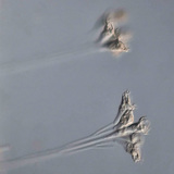 Нижчий рослинний одноклітинний організм (Epistilis)