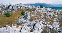 Карстовий ландшафт