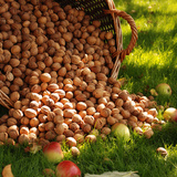 Кошик волоських горіхів