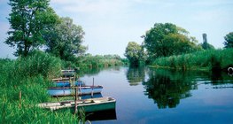 Очерет очищає воду, що тече з річок в озеро