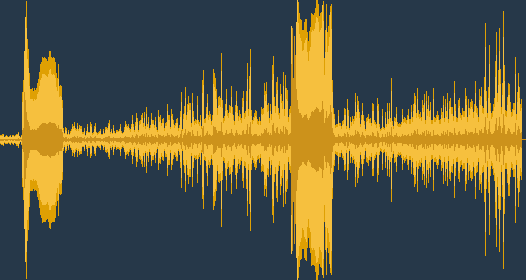 Дятел чорний