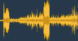 Дятел чорний